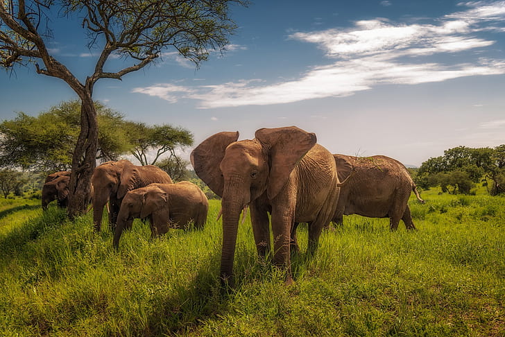 3 days safari: Serengeti National Park & Ngorongoro Crater