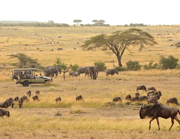 5 Days: Magnificent Tanzania Wildlife Safari