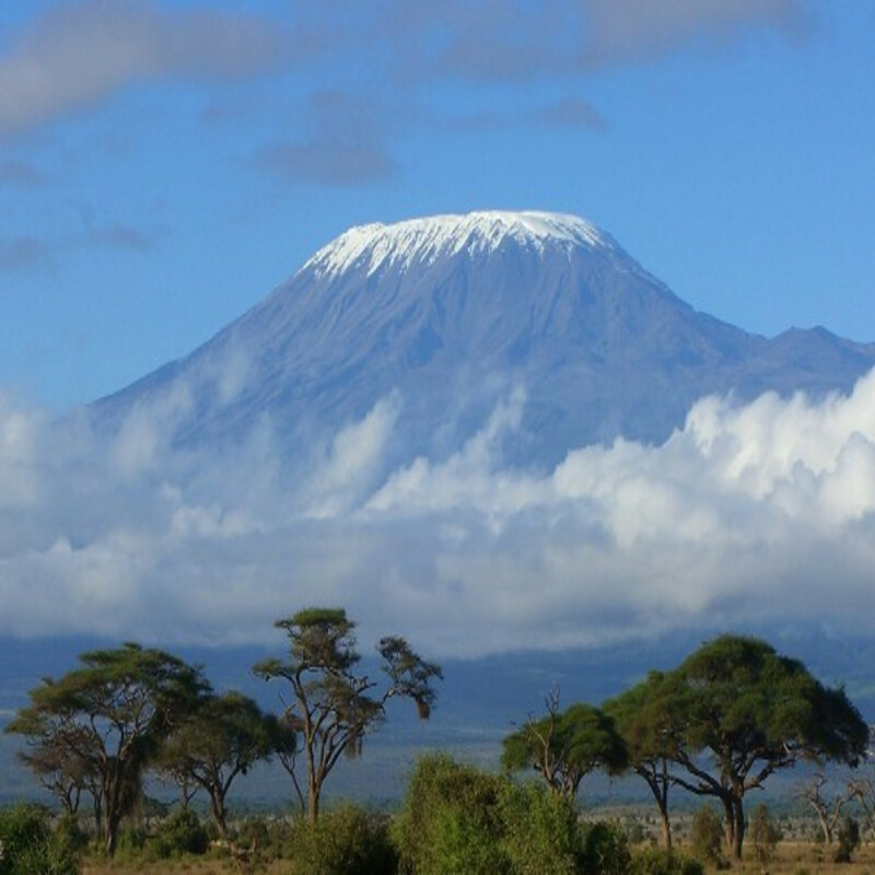 Kilimanjaro