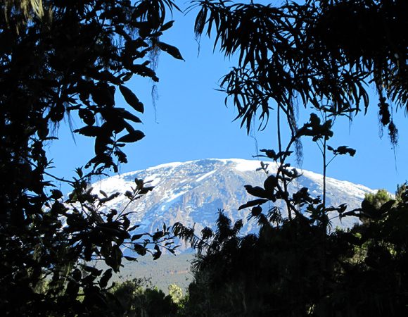 6 Days: Climb Marangu Route