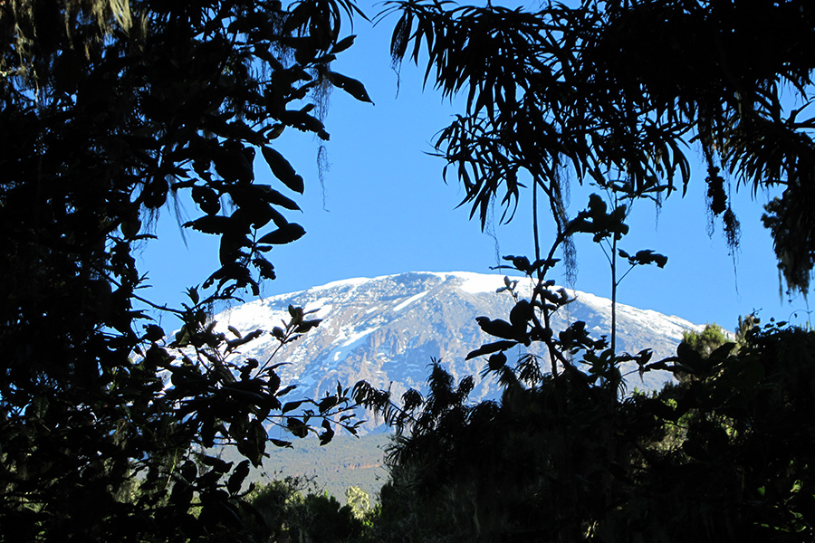 6 Days: Climb Marangu Route